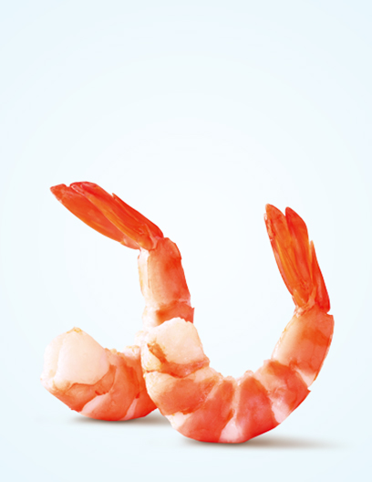 Instant Prawns