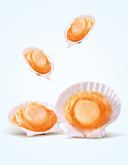 Instant Scallop