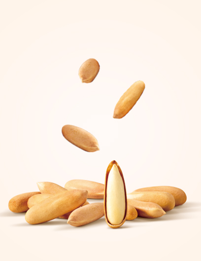 Pine Nuts
