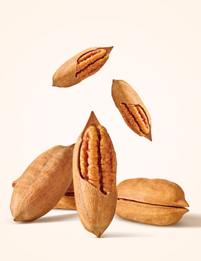 Selected pecans